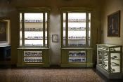 museo di storia naturale bologna 8-2022 4005